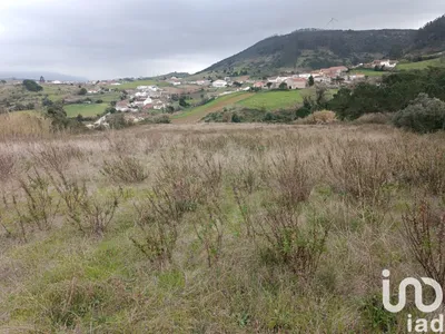 Fotografia 9 de Terreno rústico de 15 280 m² em Olhalvo