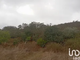 Terreno em Paderne