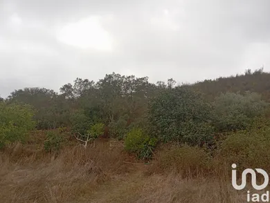 Land  in Paderne