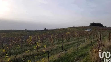 Terrain  à Carvalhal