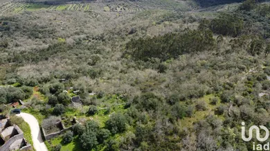 Terreno  em Chãos