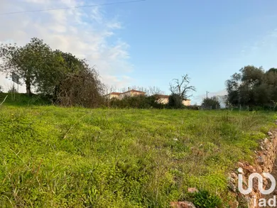 Terreno  em São Bartolomeu de Messines