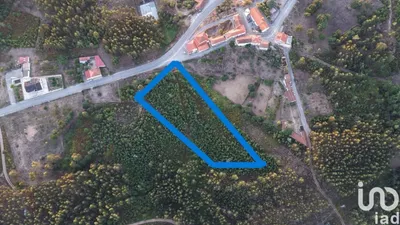 Fotografia 3 de Terreno de 8120 m² em Graça