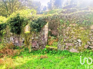 Quinta em Geraz Do Lima (Santa Maria, Santa Leocádia E Moreira) E Deão