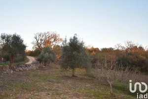 Land at Chãos