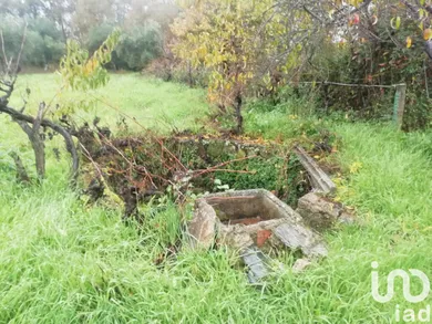 Terreno em Póvoa de Rio de Moinhos e Cafede