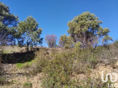 Terreno  em Conceição e Cabanas de Tavira