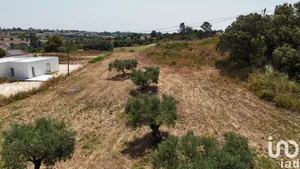 Terreno  em Azambujeira e Malaqueijo
