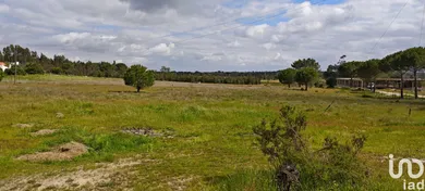 Terreno urbano  em Branca