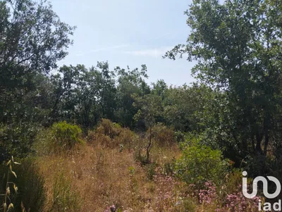 Fotografia 1 de Terreno de 1560 m² em Chãos