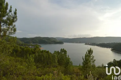 Terreno em Sertã