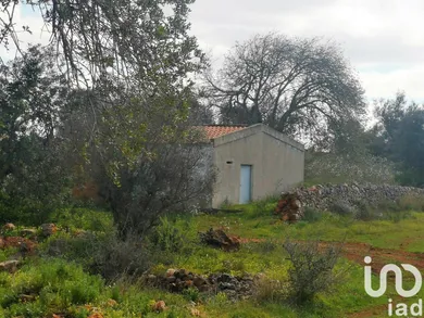 Terreno em São Bartolomeu de Messines