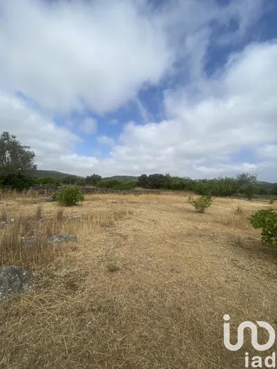Fotografia 3 de Terreno de 10 000 m² em Santa Catarina da Fonte do Bispo