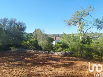 Fotografia 4 de Terreno urbano de 2550 m² em Benafim