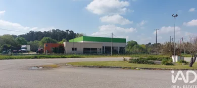 Boutique/Local commercial  à Cantanhede e Pocariça