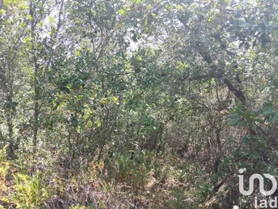 Fotografia 3 de Terreno de 1760 m² em Chãos