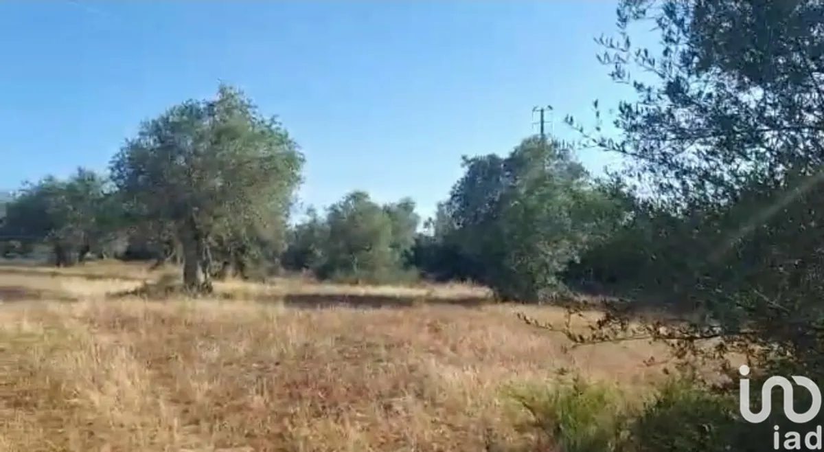 Terreno urbano de 14 750 m² em Alcácer do Sal (Santa Maria do Castelo e Santiago) e Santa Susana