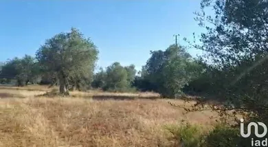 Terreno urbano em Alcácer do Sal (Santa Maria do Castelo e Santiago) e Santa Susana