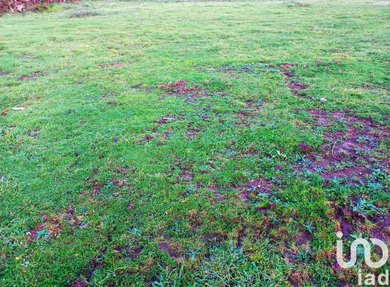 Building plot at Cervães