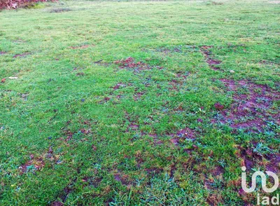 Fotografia 5 de Terreno de 695 m² em Ucha