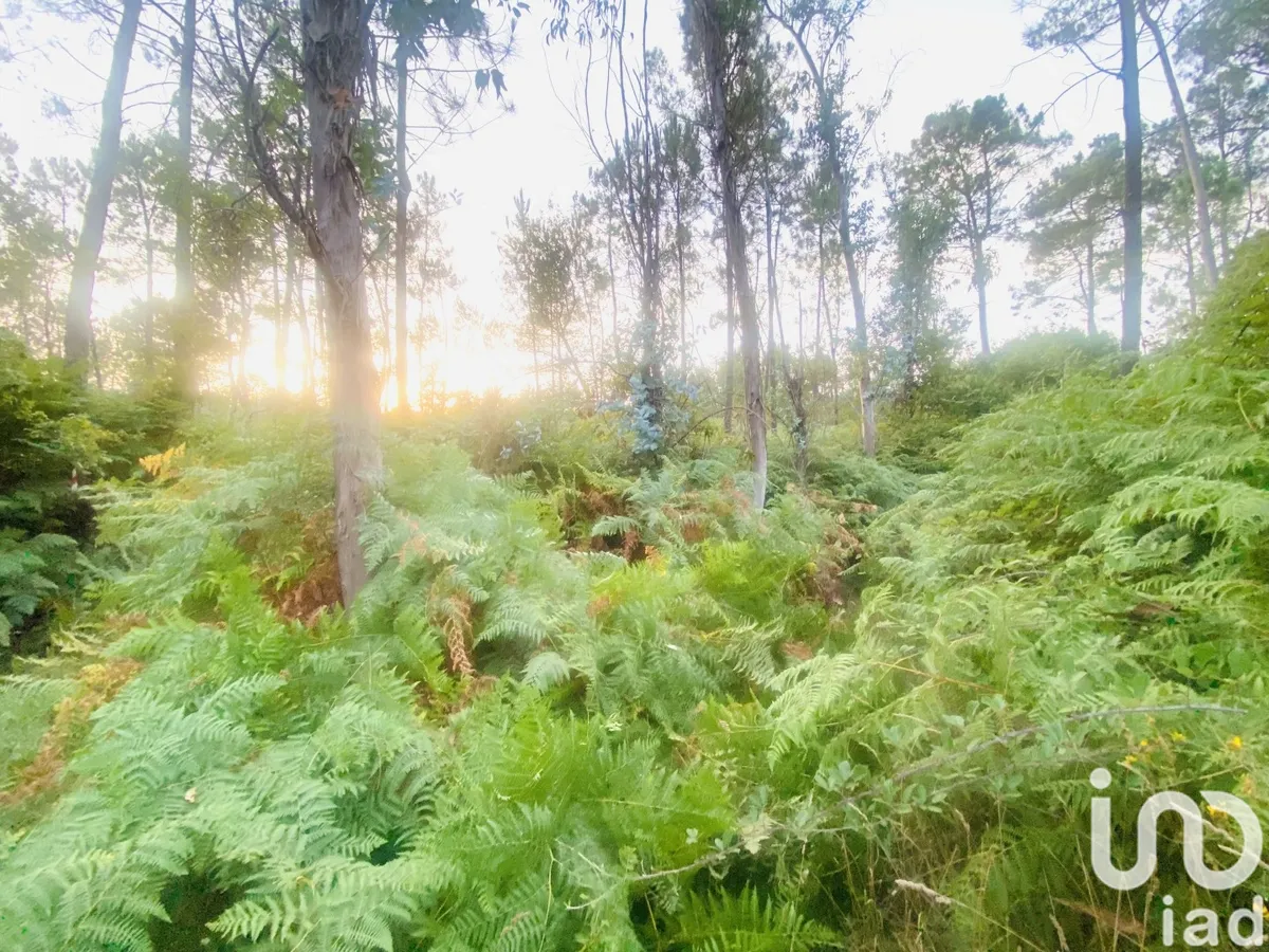 Terreno de 612 m² em Sapardos