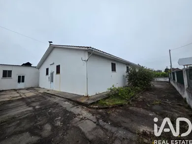 Loja / Estabelecimento Comercial em Ovoa e Vimieiro