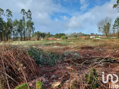 Fotografia 3 de Terreno de 4388 m² em Vila de Punhe
