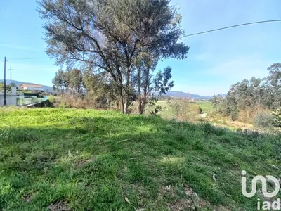Fotografia 5 de Terreno de 3000 m² em Campo E Tamel (São Pedro Fins)