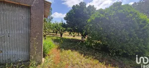 Terreno  em Azueira e Sobral da Abelheira