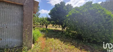 Land  in Azueira e Sobral da Abelheira