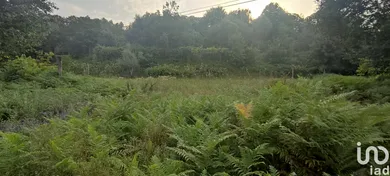 Terreno  em Lavradas