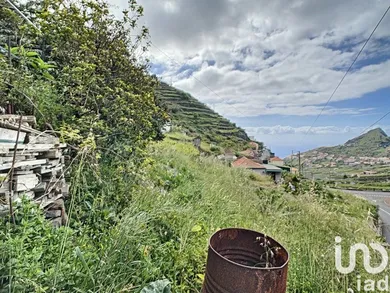 Horses property  in Câmara de Lobos