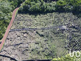 Terreno  em Madalena