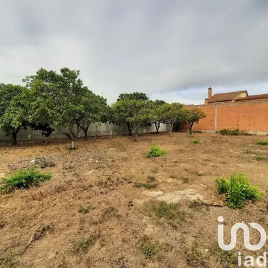 Terreno urbano  em Muge