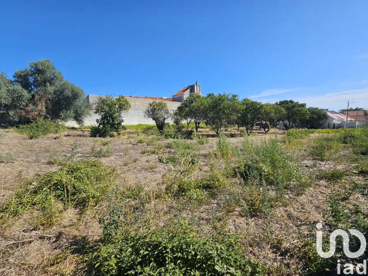 Terreno de 1590 m² em Palmela