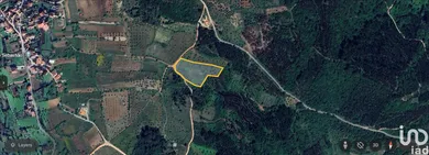 Farm land at São Miguel, Santa Eufémia e Rabaçal