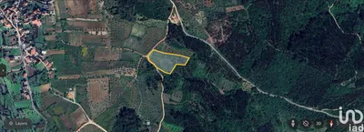 Fotografia 5 de Terreno rústico de 4715 m² em São Miguel, Santa Eufémia e Rabaçal