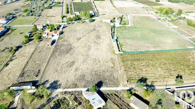 Farm land at Quinta do Anjo