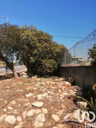 Land in São Domingos de Rana