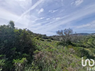 Terreno  em Santa Bárbara de Nexe
