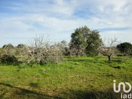 Terreno  em Almancil