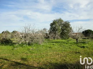 Terreno  em Almancil
