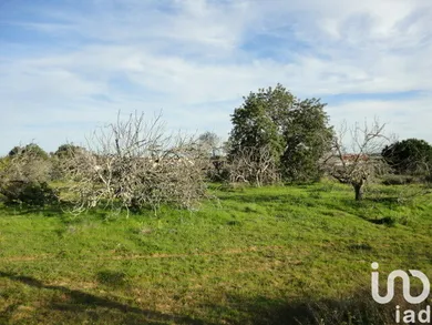 Terreno  em Almancil