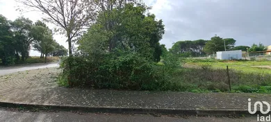 Land  in Santarém (Marvila), Santa Iria Da Ribeira De Santarém, Santarém (São Salvador) E Santarém (São Nicolau)