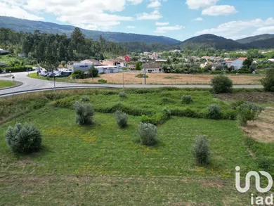 Terreno  em Miranda do Corvo