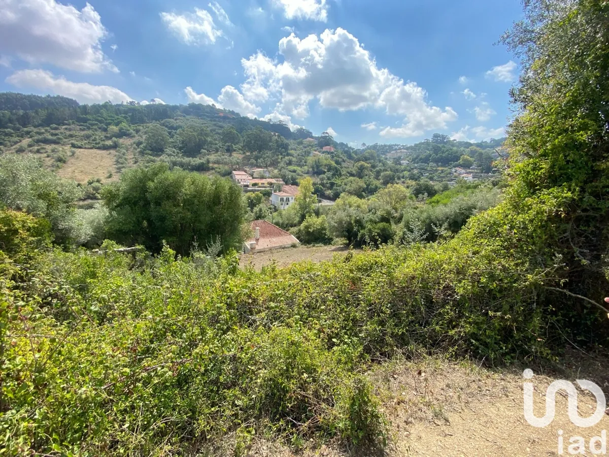 Terreno de 2560 m² em Ramada e Caneças