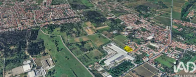 Armazém em Azeitão (São Lourenço e São Simão)