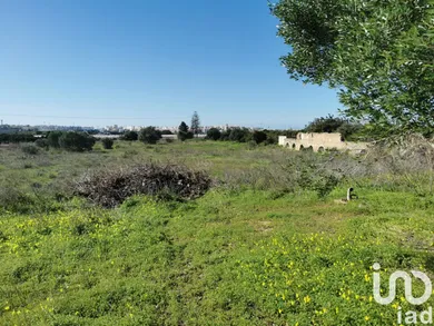Terreno em Faro (Sé e São Pedro)