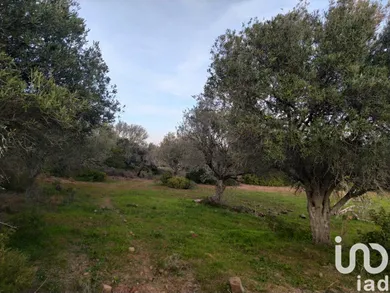 Campground  in Barão de São Miguel