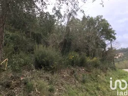 Terreno em Santiago e São Simão de Litém e Albergaria dos Doze